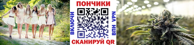 Где купить наркоту Борзя Галлюциногенные грибы  МАРИХУАНА  Мефедрон  СОЛЬ  ГАШИШ  COCAIN 