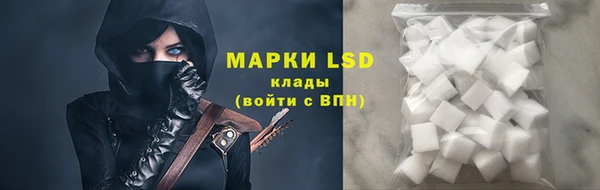ПСИЛОЦИБИНОВЫЕ ГРИБЫ Няндома
