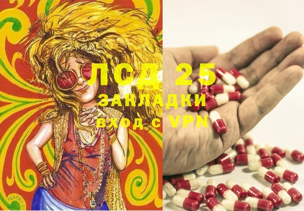 ПСИЛОЦИБИНОВЫЕ ГРИБЫ Няндома