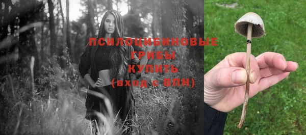 COCAINE Новозыбков