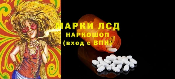 ПСИЛОЦИБИНОВЫЕ ГРИБЫ Няндома