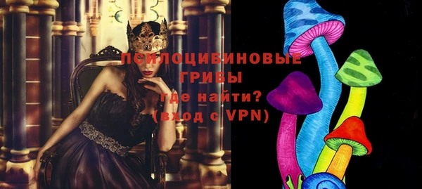 экстази Новодвинск