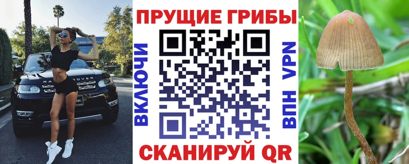 ОМГ ОМГ tor  Борзя  Галлюциногенные грибы мухоморы  закладка 